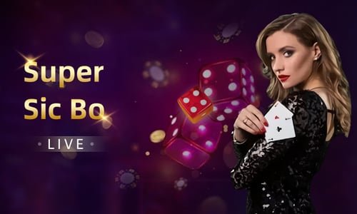 hot slots apk ပလက်ဖောင်း VIP Program နှင့် Bonus Reward Myanmar ကစားသမားများ